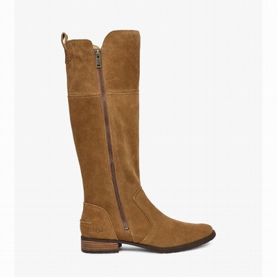 Botas UGG Sorensen Mulher Marrom | PT-MFOJT